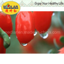 Organisches Mispel-Biokost-chinesisches Wolfberry - 220PCS / 50g